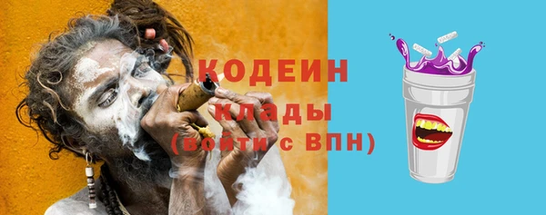 прущий лед Новозыбков
