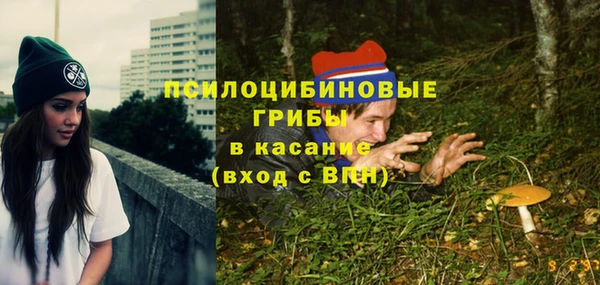прущий лед Няндома
