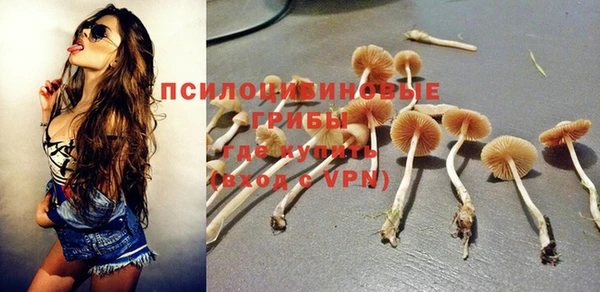 первитин Нягань