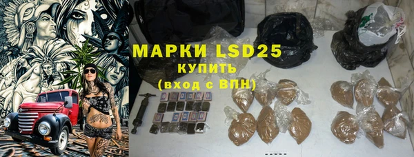 прущий лед Новозыбков