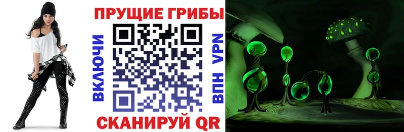 Галлюциногенные грибы Magic Shrooms  площадка Telegram  Новосиль 