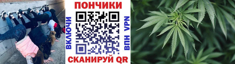 магазин Новосиль МАРИХУАНА индика